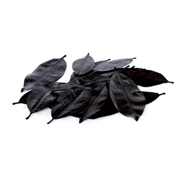 Magnolia blade Sort 200 Gram.